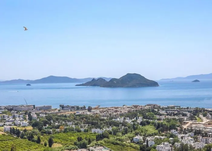 Eason & House 350m2 Full Sea View With Private Infinity Pool Villa *