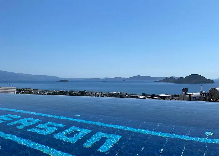 Eason & House 350m2 Full Sea View With Private Infinity Pool Vila